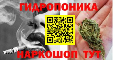 соль ск Кингисепп