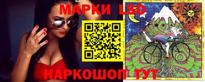 гашик Кимры