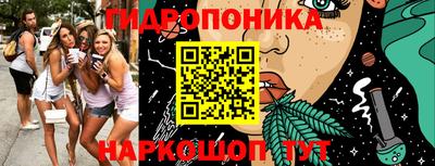 гашик Кимры