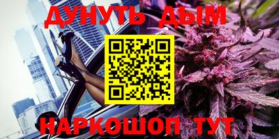 гашик Кимры