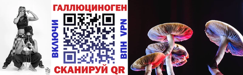 Галлюциногенные грибы Cubensis  ОМГ ОМГ как войти  Шарыпово 