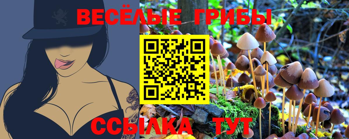 Галлюциногенные грибы MAGIC MUSHROOMS Шарыпово